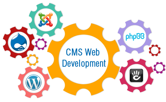 cms-website-development-services-ecowebsolution